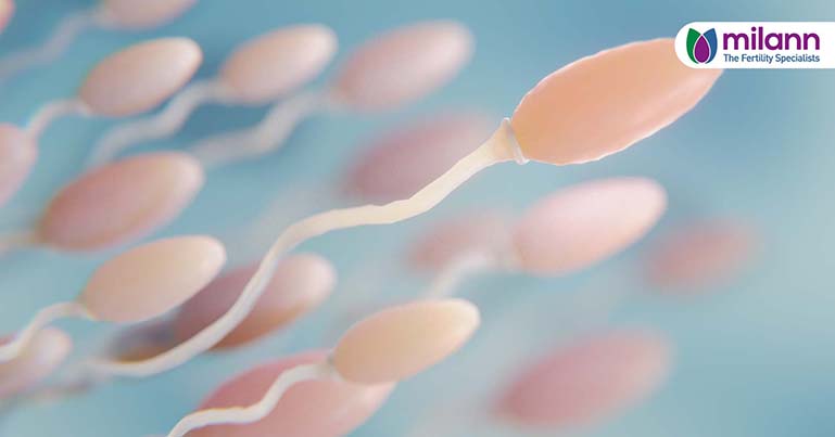 Fatherhood on Hold: Sperm Banking for Cancer Patients