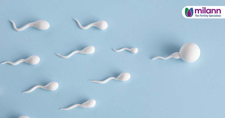 Improve Male Fertility for Reproductive Wellness