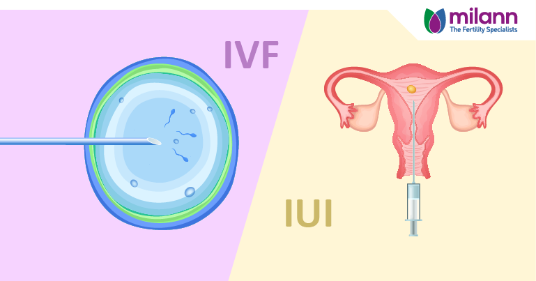 IVF or IUI landscape