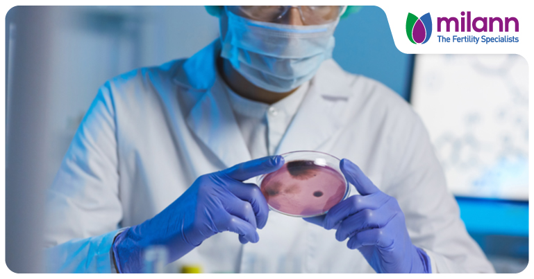 What Should Patients Expect During A Hysteroscopy?